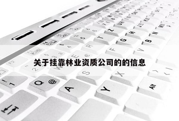 關(guān)于掛靠林業(yè)資質(zhì)公司的的信息