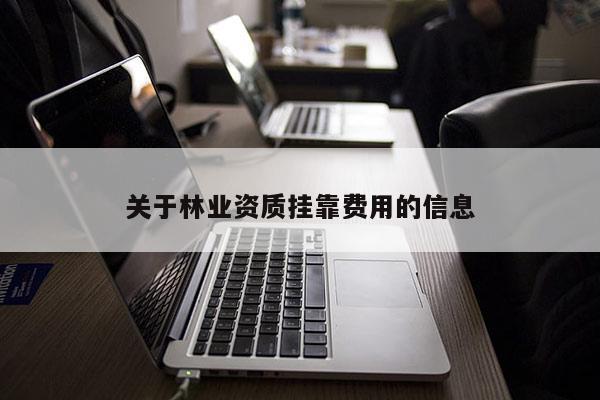 關于林業資質掛靠費用的信息