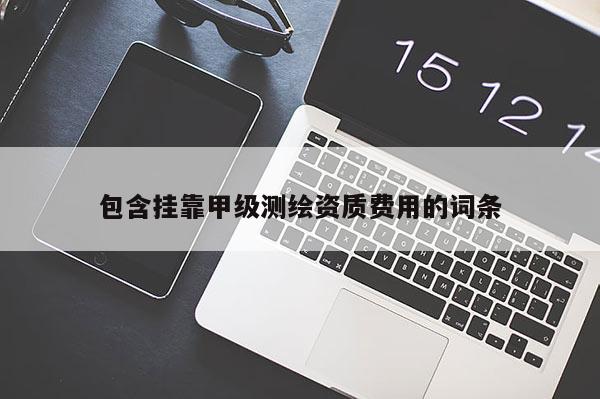 包含掛靠甲級測繪資質費用的詞條