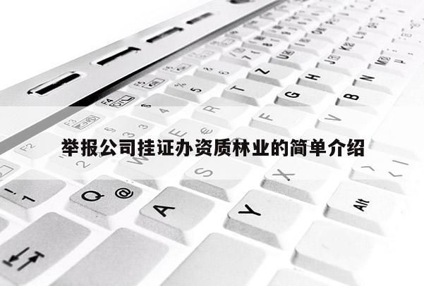 舉報公司掛證辦資質林業的簡單介紹
