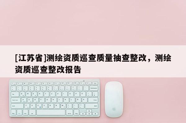 [江蘇省]測(cè)繪資質(zhì)巡查質(zhì)量抽查整改，測(cè)繪資質(zhì)巡查整改報(bào)告