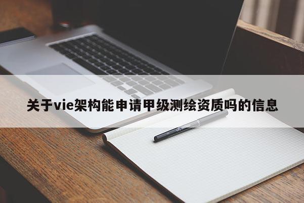 關于vie架構能申請甲級測繪資質(zhì)嗎的信息