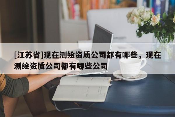 [江蘇省]現(xiàn)在測(cè)繪資質(zhì)公司都有哪些，現(xiàn)在測(cè)繪資質(zhì)公司都有哪些公司