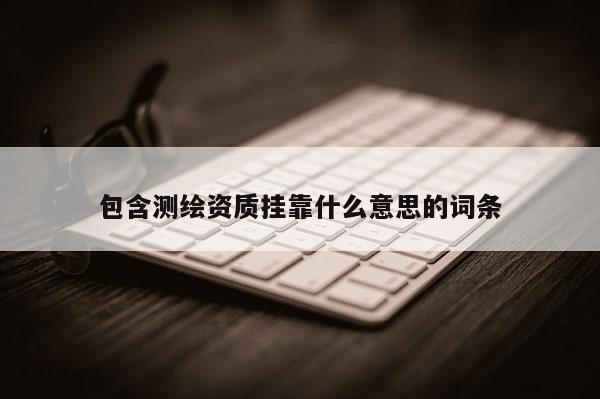 包含測繪資質(zhì)掛靠什么意思的詞條